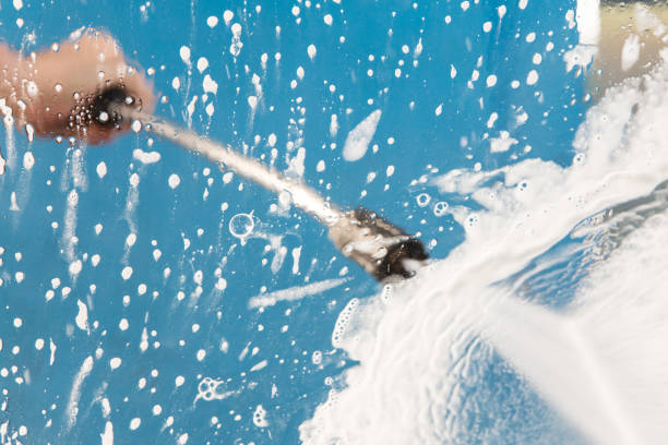 Animal Enclosure Cleaning in Rocky Mount, NC
